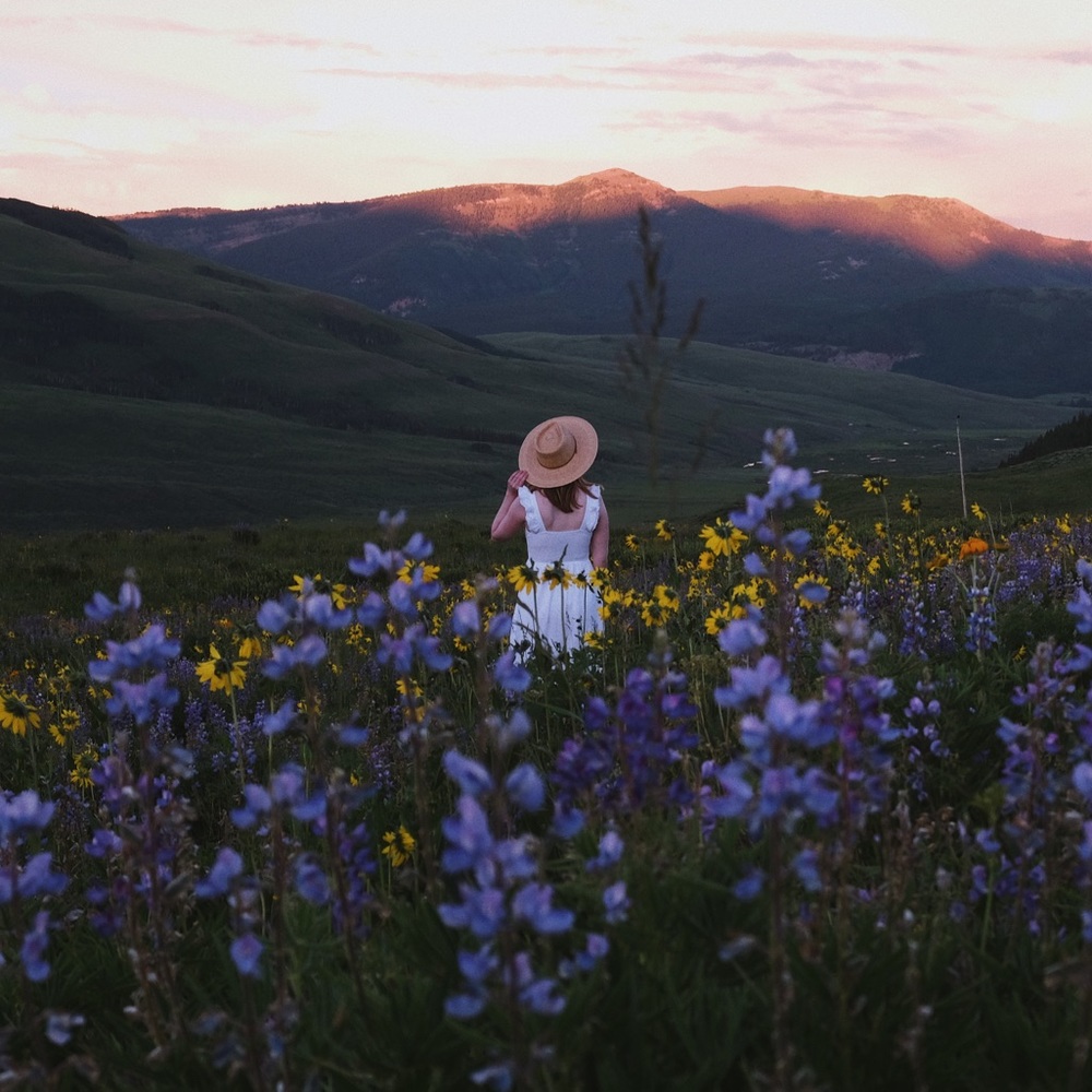 Meet your Posher, Shannon